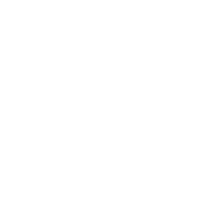 Resources: Budgets & Partners