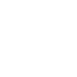 Focus on Search