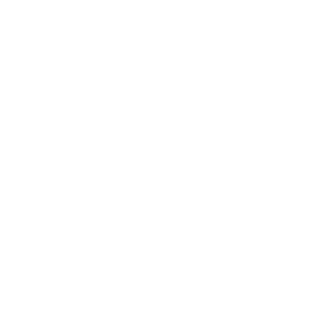 Video Viewing